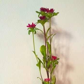 Ringolevio - Flowers on our table - Mediterranean Near Me - Brooklyn, New York