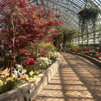Garfield Park Conservatory - Parks Near Me - Chicago, Illinois Garfield Park Conservatory - Parks Near Me - Chicago, Illinois