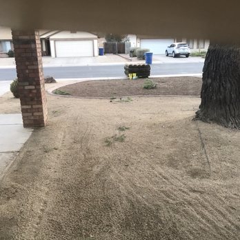 The Yard Guys - A front yard with sand and a large tree, with stacked tires and a few plants, facing a street with parked cars and houses. - Tree Services Near Me