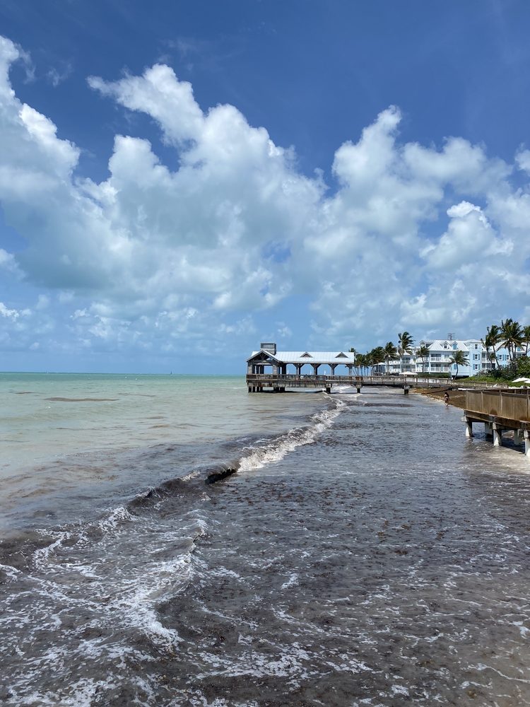 KEY WEST DOG BEACH Updated September 2024 38 Photos & 24 Reviews