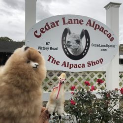 Cedar lane alpacas - Alpaca toys from gift shop