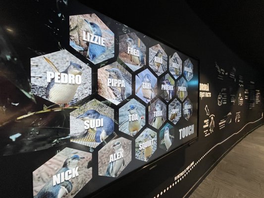 International Antarctic Centre by null