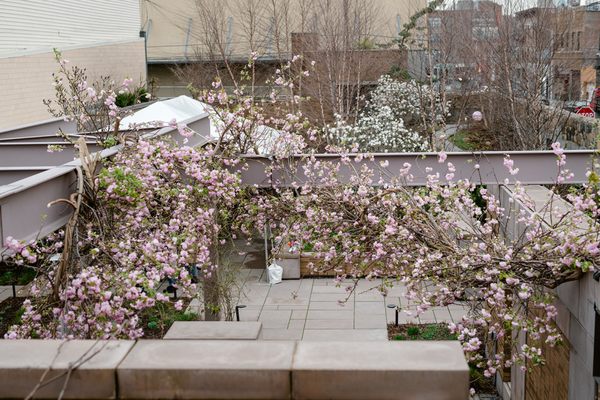 Carroll Hall by null