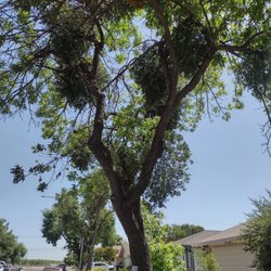 City of Modesto