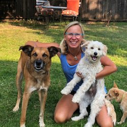 KW Happy Dogs Personalized Training - I have experience working with a variety of breeds and temperaments.