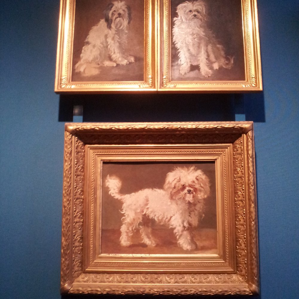 Museum Willet-Holthuysen - Museums Near Me - Amsterdam, New Hampshire