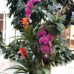 Floral arrangements in mall