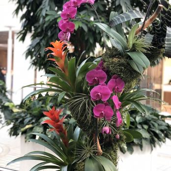 Oakridge Park - Floral arrangements in mall - Shopping Centers Near Me - Vancouver, British Columbia