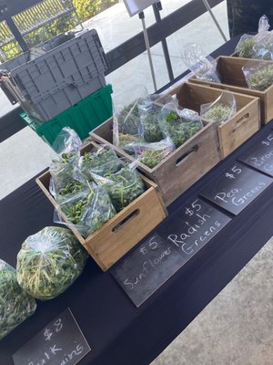 Coppell Farmers Market by null