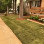 Photo of Russo's Landscaping
