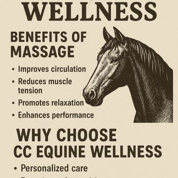 CC equine wellness - Holistic Animal Care Near Me CC equine wellness - Holistic Animal Care Near Me