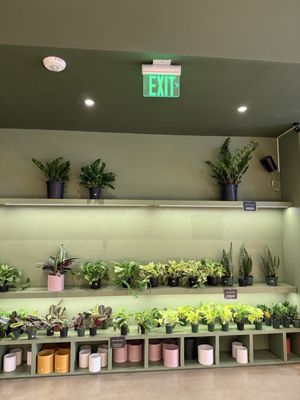 Grounded: Plant Shop, Cafe, & Wellness Studio by null