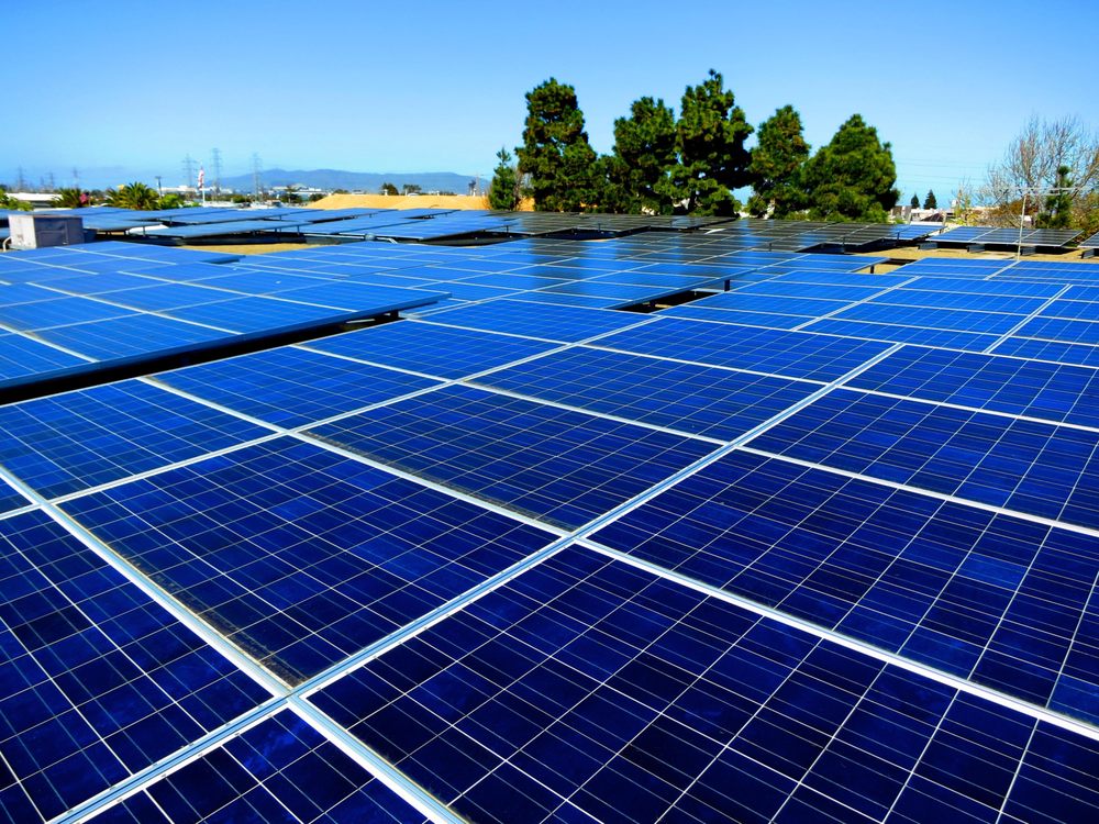 VECTOR LABORATORIES Updated July 2024 30 Ingold Rd, Burlingame