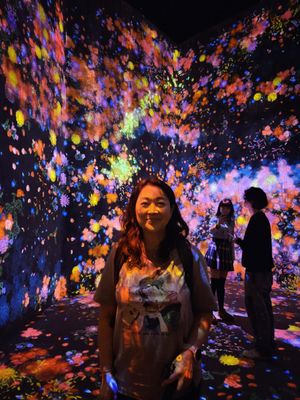 teamLab Borderless: MORI Building DIGITAL ART MUSEUM by null
