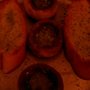 Photo of Lorenzo Restaurant