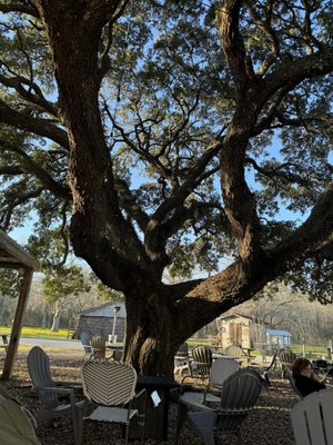 Salt+Vine Wine Co. by null