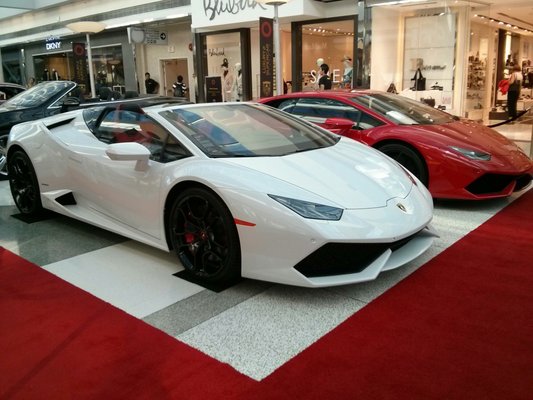 Oakridge Park by null