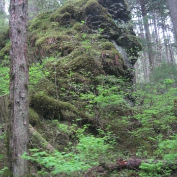 Glacier Gardens Rainforest Adventure - Rainforest - Botanical Gardens Near Me - Juneau, Alaska