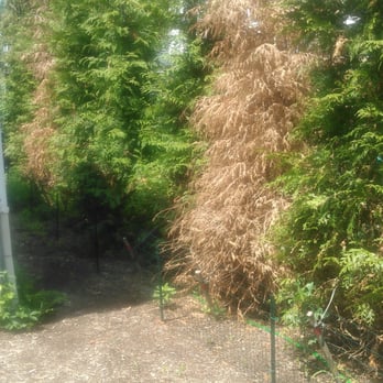 Exteriorscape Services - Landscaping Near Me - Milton, Massachusetts