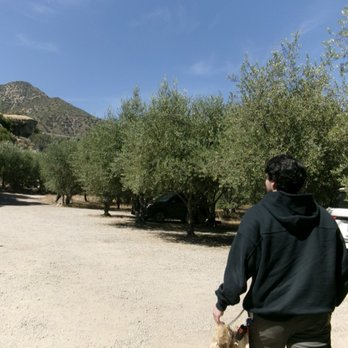 Ojai Olive Oil - Olive Oil Near Me - Ojai, California Ojai Olive Oil - Olive Oil Near Me - Ojai, California