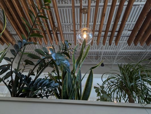 Birdie's Breakfast Club by null