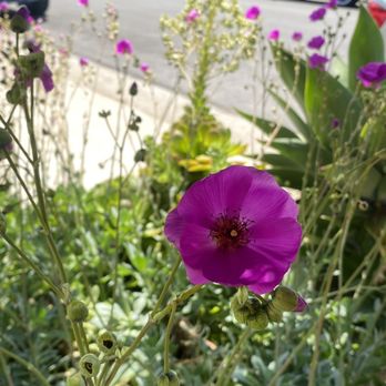 Highly Likely - Coffee & Tea Near Me - Los Angeles, California