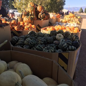 Apple Annie's Produce & Pumpkins - Precut Options!! - Farmers Market Near Me - Willcox, Arizona Apple Annie's Produce & Pumpkins - Precut Options!! - Farmers Market Near Me - Willcox, Arizona
