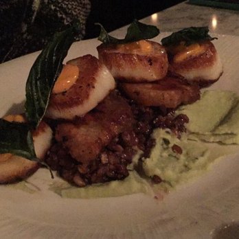 Nosh - Scallop dish - New American Near Me - Rochester, New York