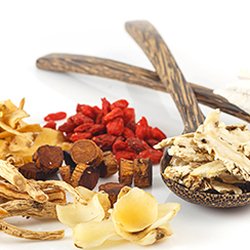 Healing Touch Holistic