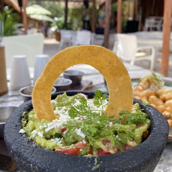 Lido - Guacamole - Seafood Near Me - Playa del Carmen, ROO