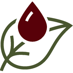Robert Brody - Personalized Natural Medicine Logo