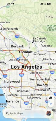 Barnsdall Art Park by null