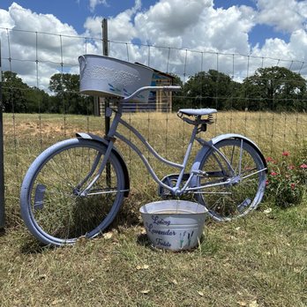 Luling Lavender Fields - Home Decor Near Me - Luling, Texas