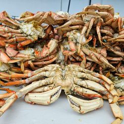 Dungeness Crab & Seafood Festival