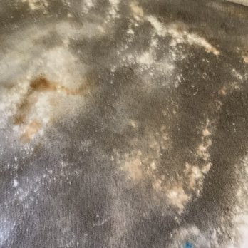 Zimp - Doing my own treatment AFTER he "cleaned" - Carpet Cleaning Near Me - Seattle, Washington Zimp - Doing my own treatment AFTER he "cleaned" - Carpet Cleaning Near Me - Seattle, Washington