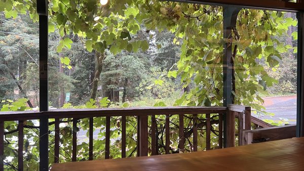 Beauregard Vineyards by null