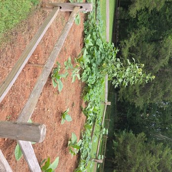 Port Royal State Historic Park - Teaching garden at the park - Landmarks & Historical Buildings Near Me - Adams, Tennessee Port Royal State Historic Park - Teaching garden at the park - Landmarks & Historical Buildings Near Me - Adams, Tennessee