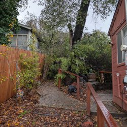 J C & R C Lawn & Yard Maintenance - Tree Branch down before clean up showing our walkway blocked and railing damage if you look closely.
