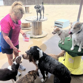 Scruffy To Fluffy - Pet Groomers Near Me - Granbury, Texas Scruffy To Fluffy - Pet Groomers Near Me - Granbury, Texas