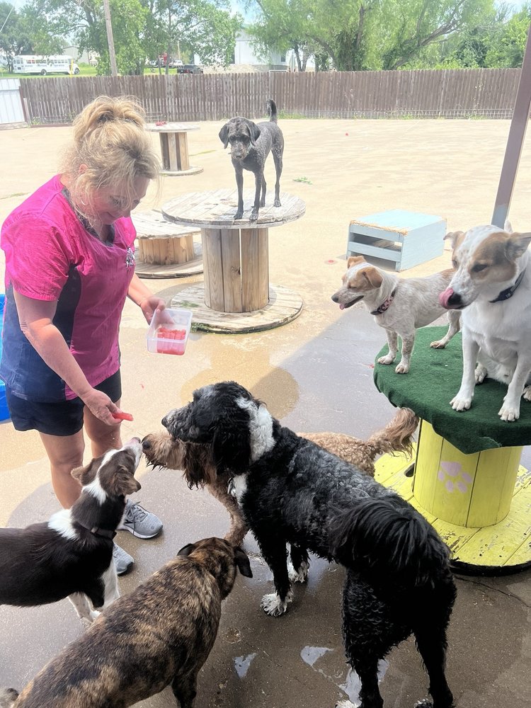 Amazing Dog Groomers Granbury Texas Background for Desktop Amazing Dog Groomers Granbury Texas Background for Desktop