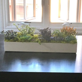 OC Succulents - Final product - Nurseries & Gardening Near Me - Irvine, California OC Succulents - Final product - Nurseries & Gardening Near Me - Irvine, California