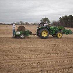 Thomas Turfgrass
