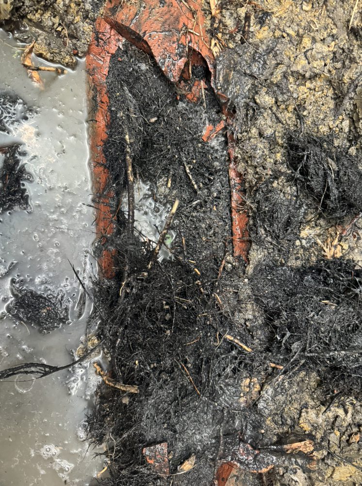 Slide of Zuniga's Plumbing