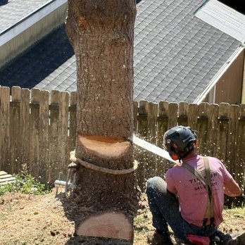 Tilikum Tree Service & Contract Cutting - Tree removal - Tree Services Near Me Tilikum Tree Service & Contract Cutting - Tree removal - Tree Services Near Me