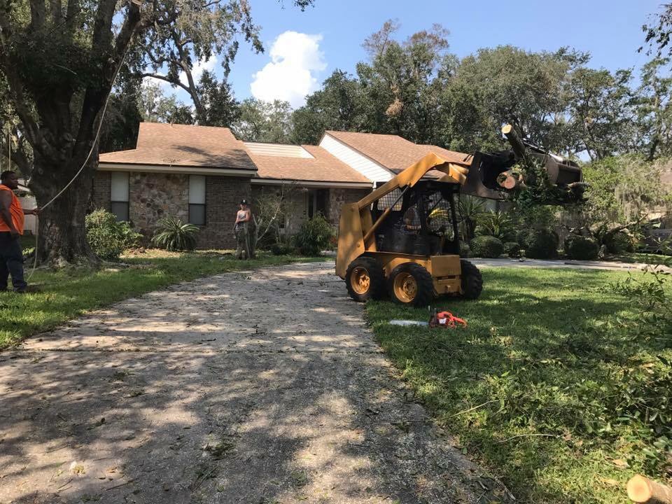 Simply Trees and More - tree service in Fairfax, VA