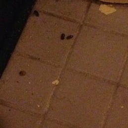 Mouse droppings or something in the bathroom. Mouse droppings or something in the bathroom.