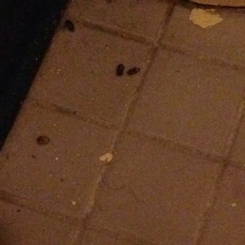 Super 8 by Wyndham Centerville-Richmond - Mouse droppings or something in the bathroom. - Hotels Near Me - Centerville, Indiana Super 8 by Wyndham Centerville-Richmond - Mouse droppings or something in the bathroom. - Hotels Near Me - Centerville, Indiana