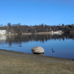 Kreidebergsee - Liegewiese.