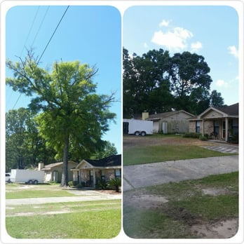 Kens Yard and Tree Service - Before and after oak tree removal - Tree Services Near Me - Pensacola, Florida Kens Yard and Tree Service - Before and after oak tree removal - Tree Services Near Me - Pensacola, Florida