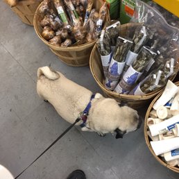 Ideal Pet Stop - Must have this!!! - Pet Stores Near Me - Seattle, Washington